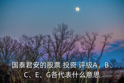 國泰君安的股票 投資 評級A、B、C、E、G各代表什么意思