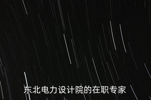 東北電力設計院的在職專家