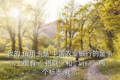 我的 信用卡是 中國農業(yè)銀行的金卡,上面有“ 銀聯(lián)”和“visa”兩個標志,我...