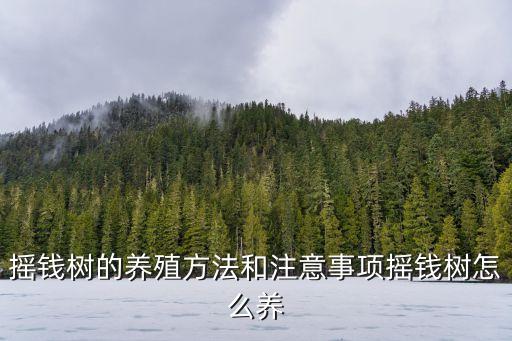 搖錢樹的養(yǎng)殖方法和注意事項(xiàng)搖錢樹怎么養(yǎng)