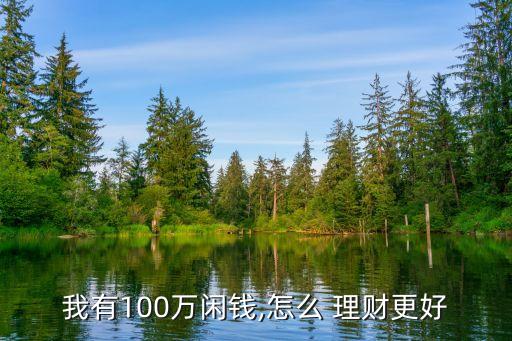 我有100萬閑錢,怎么 理財(cái)更好