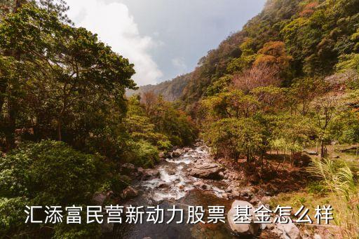 匯添富民營新動(dòng)力股票 基金怎么樣