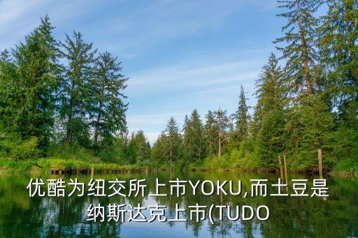 優(yōu)酷為紐交所上市YOKU,而土豆是納斯達克上市(TUDO