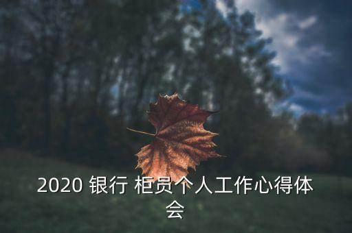 2020 銀行 柜員個(gè)人工作心得體會(huì)