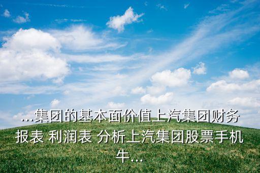 ...集團的基本面價值上汽集團財務報表 利潤表 分析上汽集團股票手機牛...