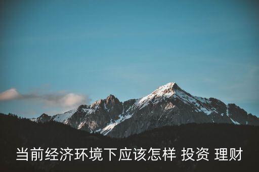 當(dāng)前經(jīng)濟環(huán)境下應(yīng)該怎樣 投資 理財