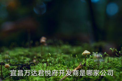  宜昌萬達(dá)君悅府開發(fā)商是哪家公司