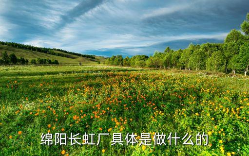 綿陽長(zhǎng)虹廠具體是做什么的