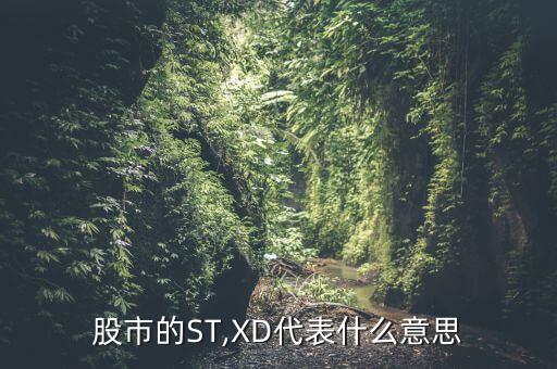 上市公司各種數(shù)據(jù)英文縮寫