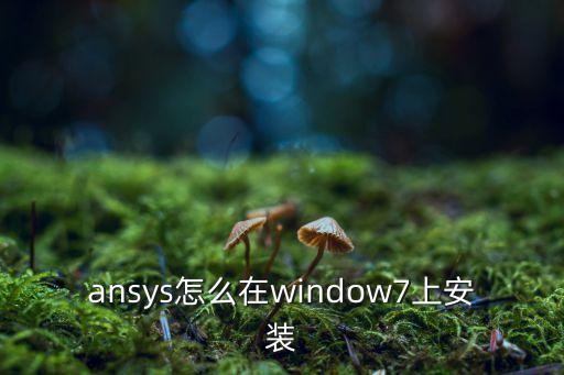 ansys怎么在window7上安裝