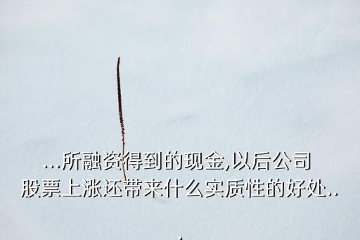 ...所融資得到的現(xiàn)金,以后公司 股票上漲還帶來什么實(shí)質(zhì)性的好處...