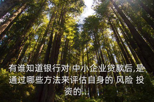 有誰知道銀行對 中小企業(yè)貸款后,是通過哪些方法來評估自身的 風(fēng)險 投資的...