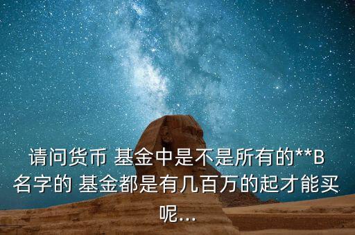 請問貨幣 基金中是不是所有的**B名字的 基金都是有幾百萬的起才能買呢...