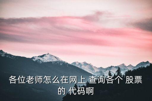 各位老師怎么在網(wǎng)上 查詢各個 股票的 代碼啊