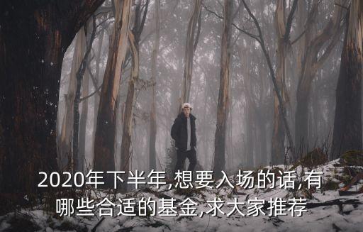 2020年下半年,想要入場的話,有哪些合適的基金,求大家推薦