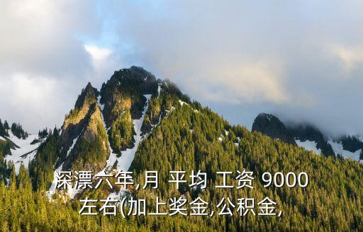 深漂六年,月 平均 工資 9000左右(加上獎(jiǎng)金,公積金,