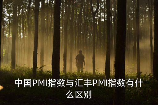 中國(guó)PMI指數(shù)與匯豐PMI指數(shù)有什么區(qū)別