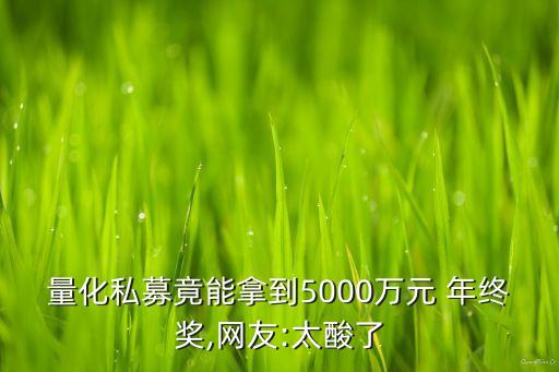 量化私募竟能拿到5000萬(wàn)元 年終獎(jiǎng),網(wǎng)友:太酸了