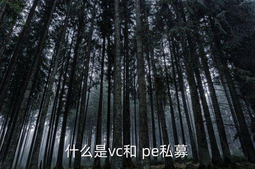 什么是vc和 pe私募