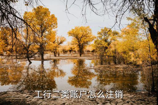 工商銀行儲(chǔ)蓄卡銷戶