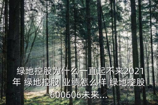  綠地控股為什么一直起不來2021年 綠地控股 業(yè)績怎么樣 綠地控股600606未來...