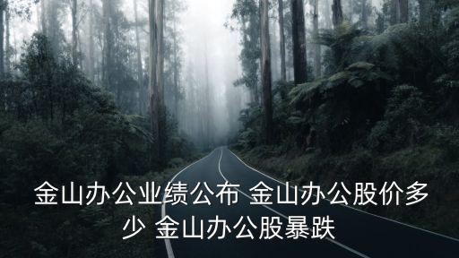  金山辦公業(yè)績公布 金山辦公股價多少 金山辦公股暴跌