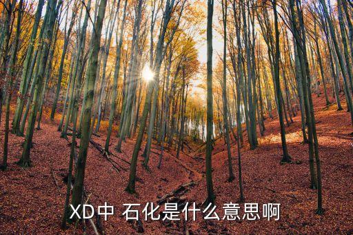 XD中 石化是什么意思啊