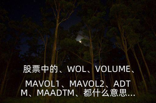  股票中的、WOL、VOLUME、MAVOL1、MAVOL2、ADTM、MAADTM、都什么意思...