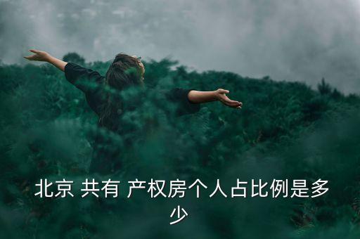  北京 共有 產(chǎn)權(quán)房個人占比例是多少