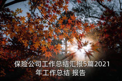 保險(xiǎn)公司財(cái)務(wù)季度分析報(bào)告,XX公司XX年度\/季度財(cái)務(wù)分析報(bào)告