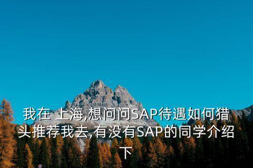 我在 上海,想問問SAP待遇如何獵頭推薦我去,有沒有SAP的同學(xué)介紹下