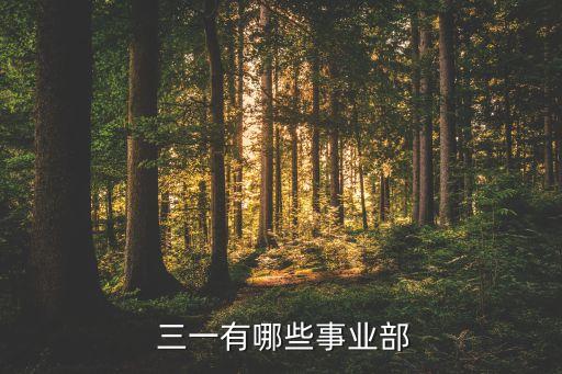 三一重工索特傳動設備有限公司,常熟索特傳動設備有限公司怎么樣