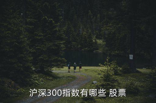 滬深300指數(shù)有哪些 股票