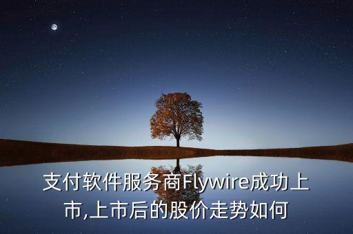 支付軟件服務(wù)商Flywire成功上市,上市后的股價(jià)走勢(shì)如何