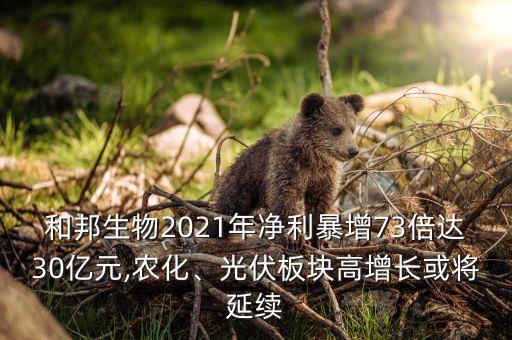 和邦生物2021年凈利暴增73倍達(dá)30億元,農(nóng)化、光伏板塊高增長(zhǎng)或?qū)⒀永m(xù)