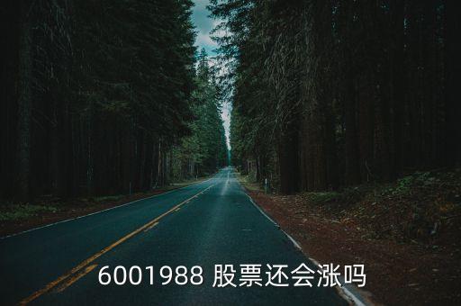  6001988 股票還會漲嗎