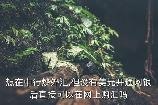 想在中行炒外匯,但沒(méi)有美元開(kāi)通網(wǎng)銀后直接可以在網(wǎng)上購(gòu)匯嗎