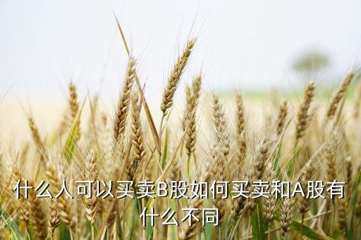 什么人可以買(mǎi)賣(mài)B股如何買(mǎi)賣(mài)和A股有什么不同