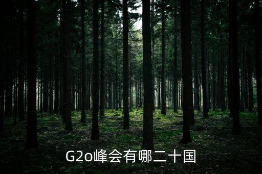 G2o峰會(huì)有哪二十國(guó)