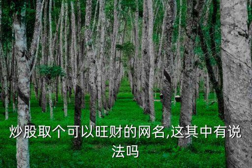 炒股取個可以旺財(cái)?shù)木W(wǎng)名,這其中有說法嗎