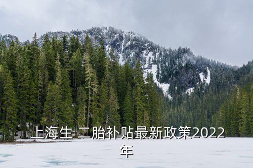  上海生 二胎補(bǔ)貼最新政策2022年