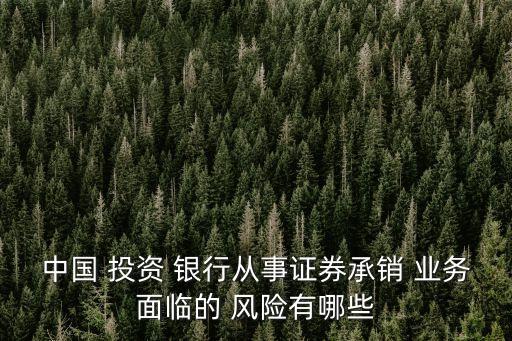 中國(guó) 投資 銀行從事證券承銷 業(yè)務(wù)面臨的 風(fēng)險(xiǎn)有哪些