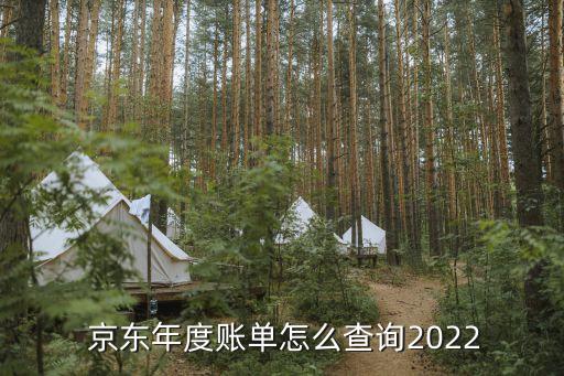  京東年度賬單怎么查詢2022