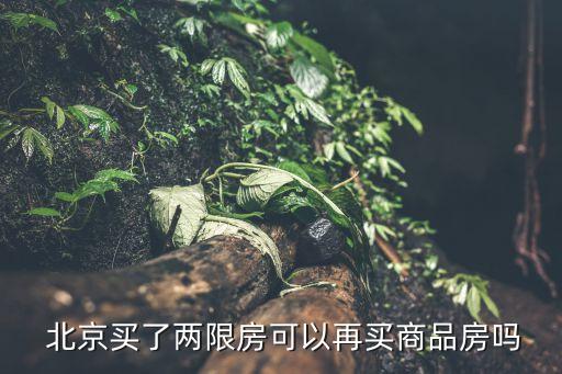 北京輪候經濟,北京 輪候積分計算