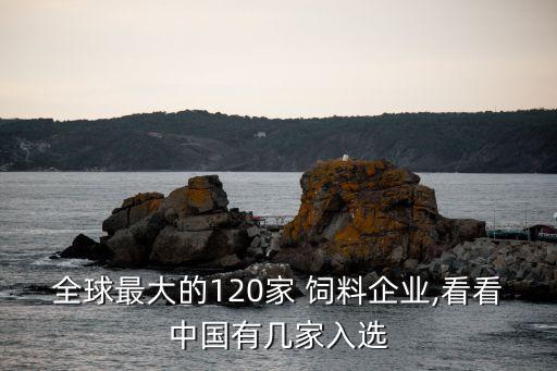 全球最大的120家 飼料企業(yè),看看中國(guó)有幾家入選