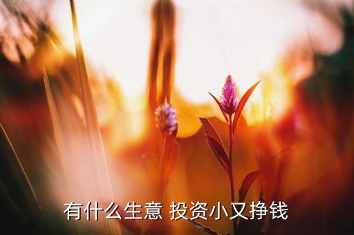 有什么生意 投資小又掙錢(qián)