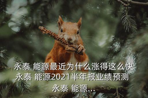  永泰 能源最近為什么漲得這么快 永泰 能源2021半年報(bào)業(yè)績(jī)預(yù)測(cè) 永泰 能源...