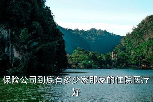 保險(xiǎn)公司到底有多少家那家的住院醫(yī)療好