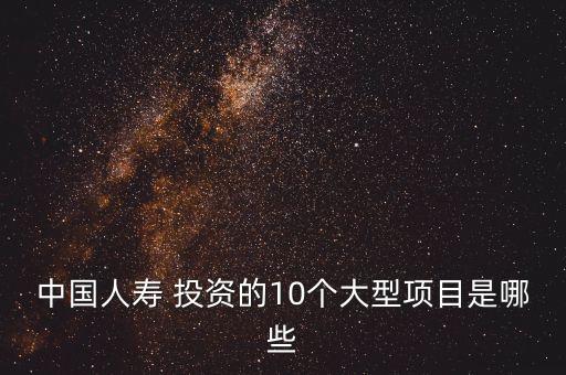 中國人壽 投資的10個大型項目是哪些