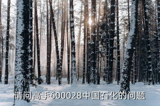 請(qǐng)問高手600028中國石化的問題